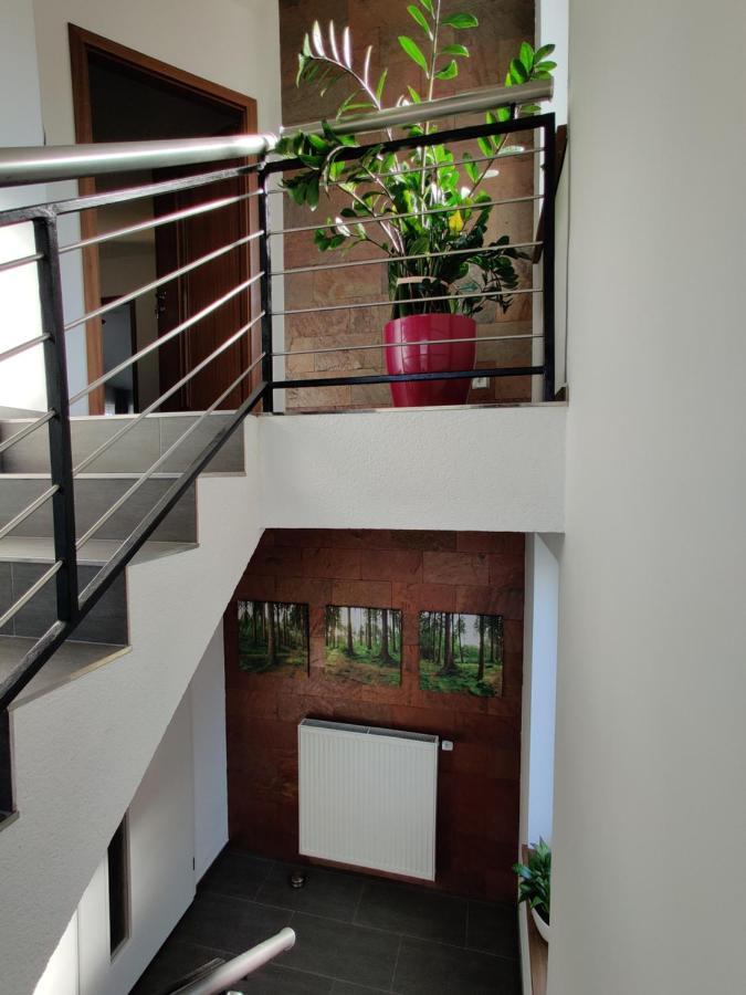 أولوموك Apartmany V Nasem المظهر الخارجي الصورة